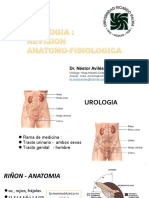 Anatomia y HBP Degraba Chivi