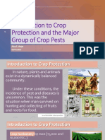 CRPT1 - Lecture 1. Introduction To Crop Protection and Major Groups of Crop Pests