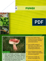 05. Fungi