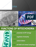 3 Mitokondria