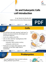 1 Sel Prokariotik Dan Eukariotik