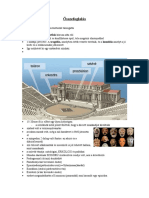 Irodalom-Összefoglalás Fájv Pojnt Ván