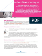 Prospection Te Le Phonique PDF Bonus