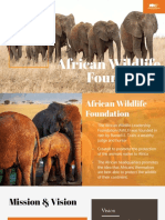 African Wildlife Foundation