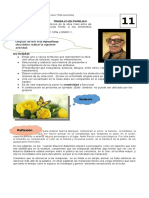 Estructura Trabajo de Cien Años de Soledad