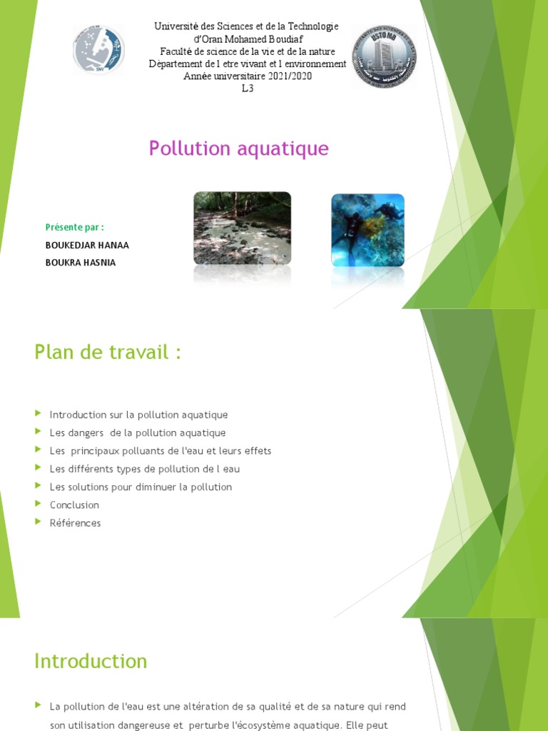 Pollution aquatique : causes et solutions | PDF | la pollution ...