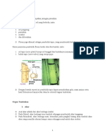 BIOLOGI DIKOTIL - and - MONOKOTIL