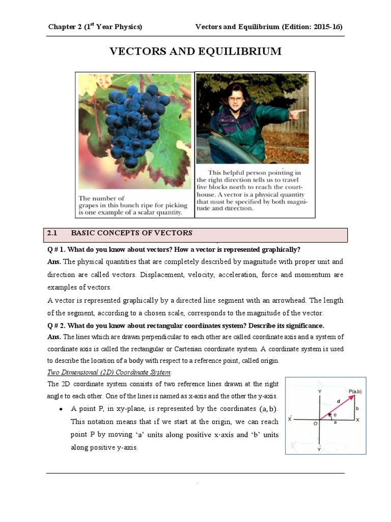 Vectors and Equilibrium Notes | PDF | Euclidean Vector | Torque