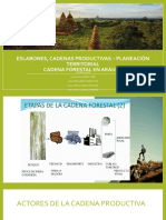 Eslabones, Cadenas Productivas - Planeación Territorial