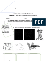 Guia Ciencia Unidad 3