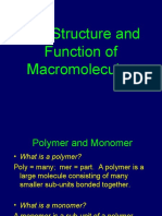 The Structure and Function of Macromolecules