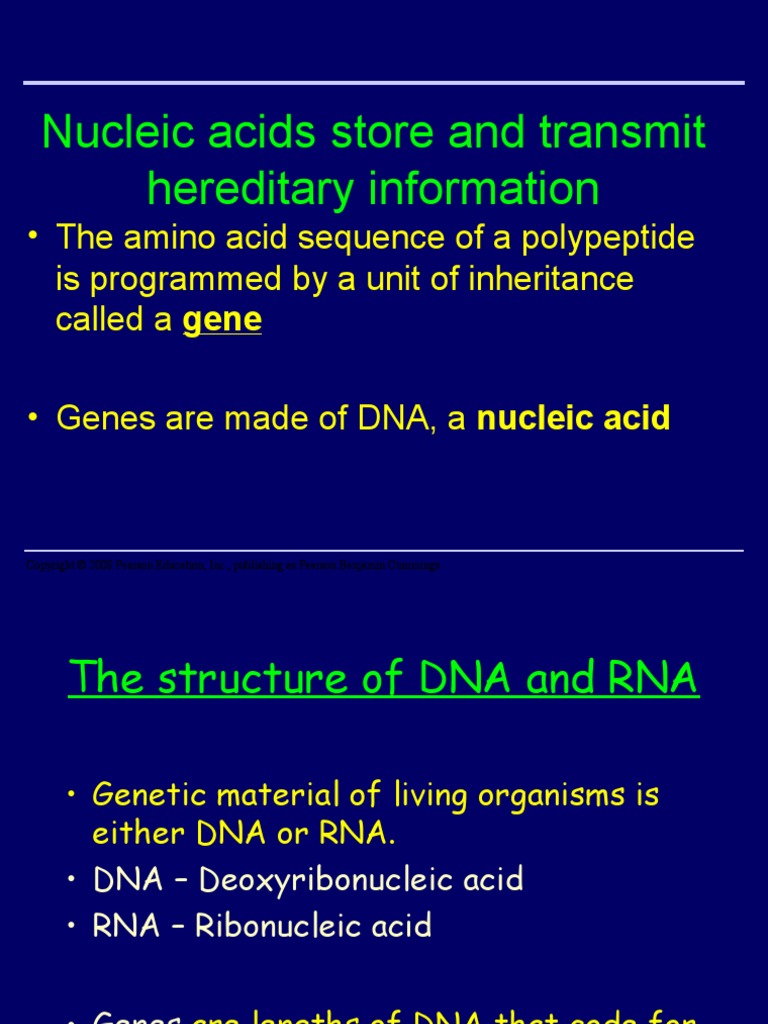 Nucleic Acids Store and Transmit Hereditary Information PDF