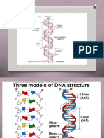 MB Lecture 7 (1)