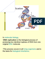 MB Lecture 12