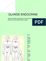 Boli Endocrine