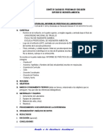 Estructura Del Informe de Prácticas de Laboratorio