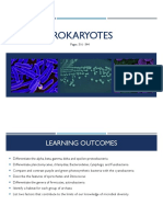 Prokaryotes