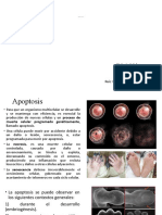 Unidad 5 Apoptosis y Cancer