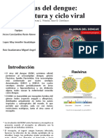 Presentacion Articulo Virus Del Dengue Equipo Arceo, Lopez y Ruiz