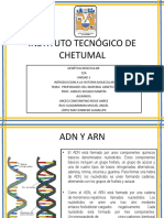 Propiedades Del Adneq3