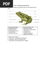 Płazy Prezentacja | PDF