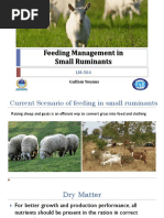 Sheep and Goat Breeding Management Guide | PDF | Sheep | Sexual ...