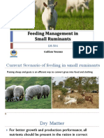 Feeding Management in Small Ruminants