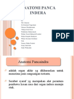 Anatomi Panca Indera7.Pptx 2.Pptx 3