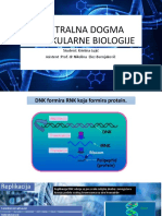 Centralna Dogma Molekularne Biologije