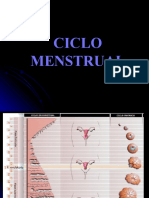 Ciclo Menstrual, Act Sexual