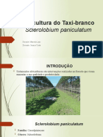 Silvicultura Do Taxi-Branco