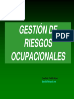 GESTION RIESGOS SISO