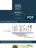 ANATOMIA Slides de Aula - Unidade III