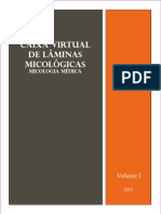 Caixa Virtual Laminas Micologicas Vol01