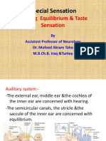 Hearing Equilibrium & Taste Sensation
