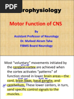 L1 Motor Function of CNS