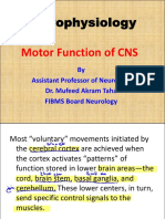 L1 Motor Function of CNS