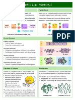 Topic 2.4: PROTEINS: Peptide Bonds Amino Acids