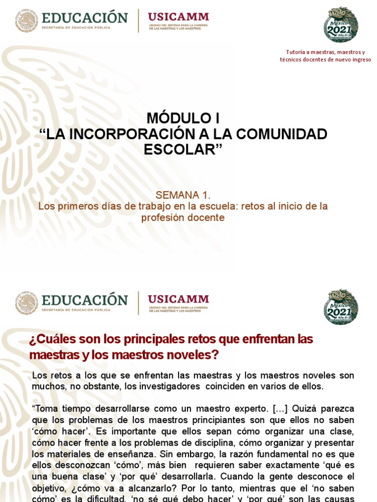 Retos del Docente Novato en el Aula | PDF | Educación primaria | La ...