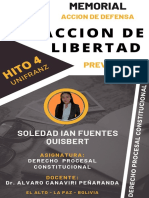 Interposicion - Accion de Libertad Preventiva