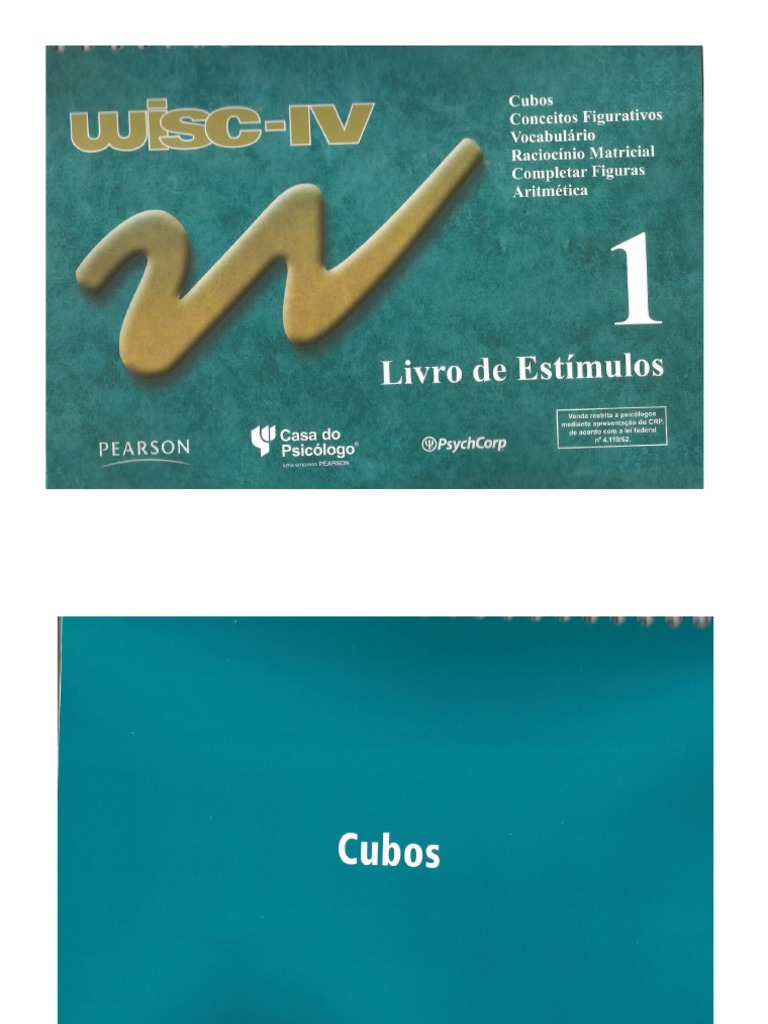 Wisc IV Caderno de Aplicação | PDF
