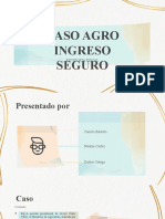 Caso Agro Ingreso Seguro