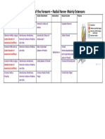 Forearm - Deep Posterior Compartment