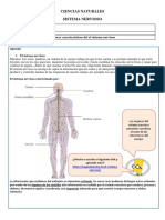 Aprende-y-practica-4º-basico-sistema-nervioso