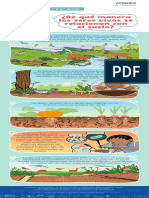 De Qué Manera Los Seres Vivos Se Relacionan Con El Suelo - Infografía