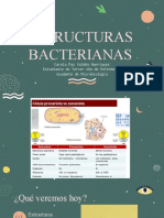 Clase 1 Estructuras Bacterianas