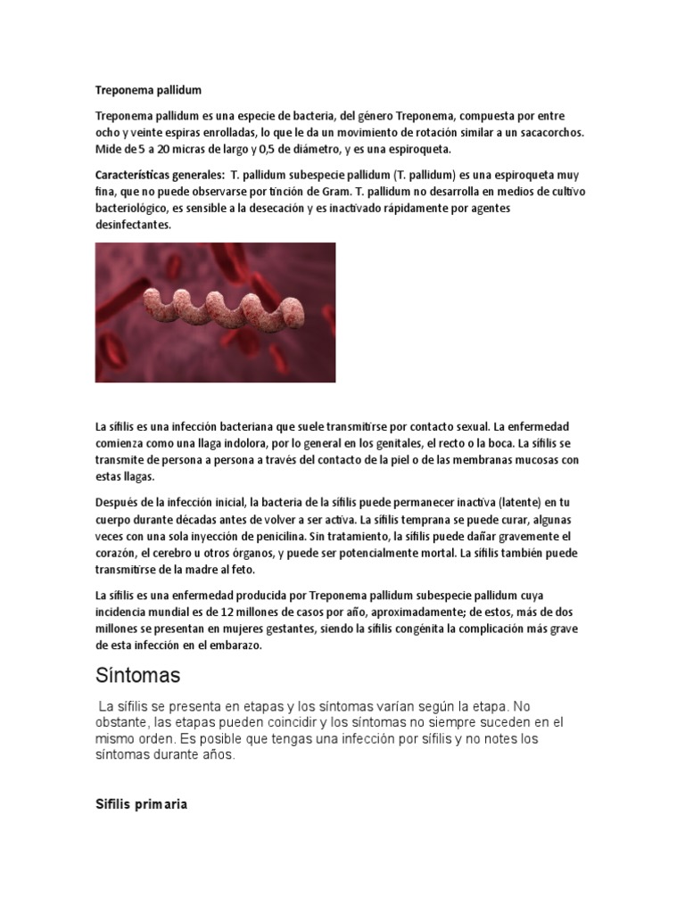 Treponema Pallidum PDF Enfermedades y trastornos Medicina CLINICA