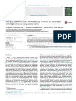 Biological and Therapeutic Effects of Honey Produced by Honey Bees and Stingless Bees: A Comparative Review