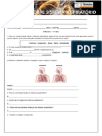 Sistema Respiratório