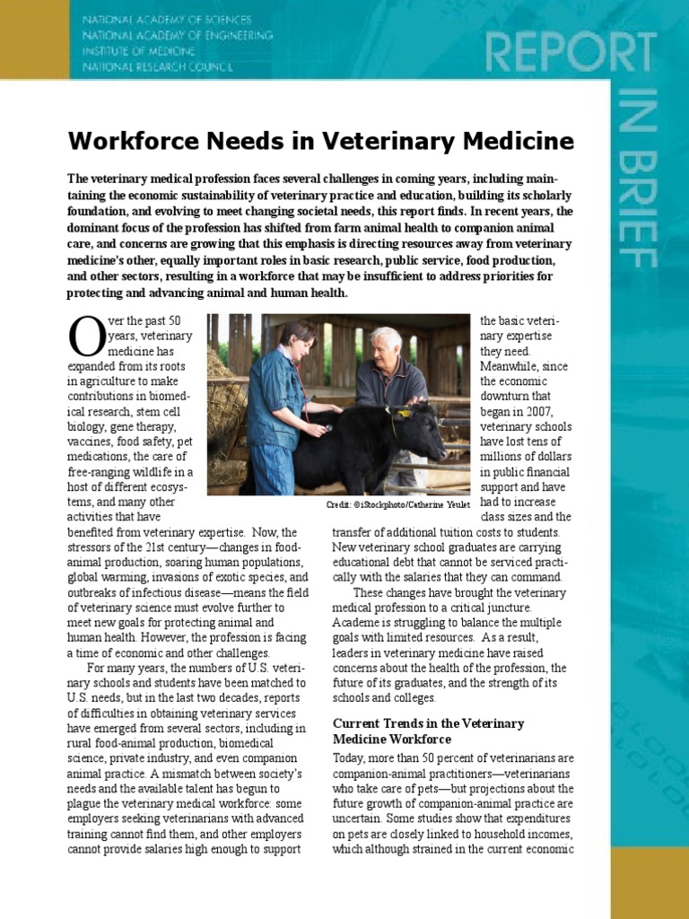 Current Trends in The Veterinary Medicine Workforce | Download Free PDF ...